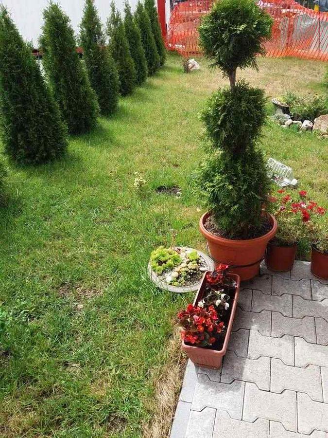 זלאטיבור Lufi Penthouse Apartment מראה חיצוני תמונה